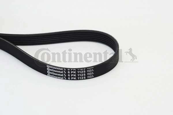 V-ribbed Belt